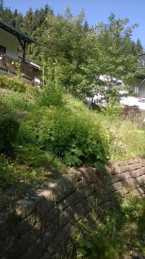 Haus Talblick Villa Schmallenberg Luaran gambar