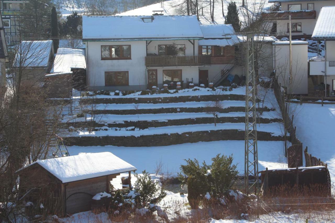 Haus Talblick Villa Schmallenberg Luaran gambar